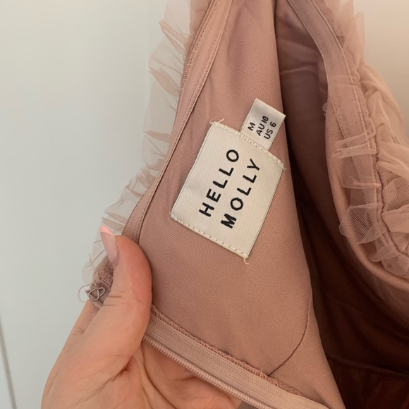 Hello Molly Pink Tulle midi dress - Picture 5 of 5